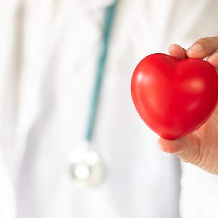 a person holding a heart