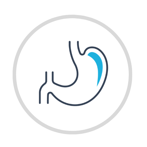 Gastrointestinal icon